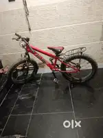 Bicycle huge company