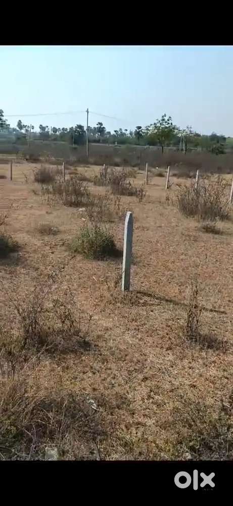East face 267 SqY plot LRS paid at Railway coach factory Madikonda