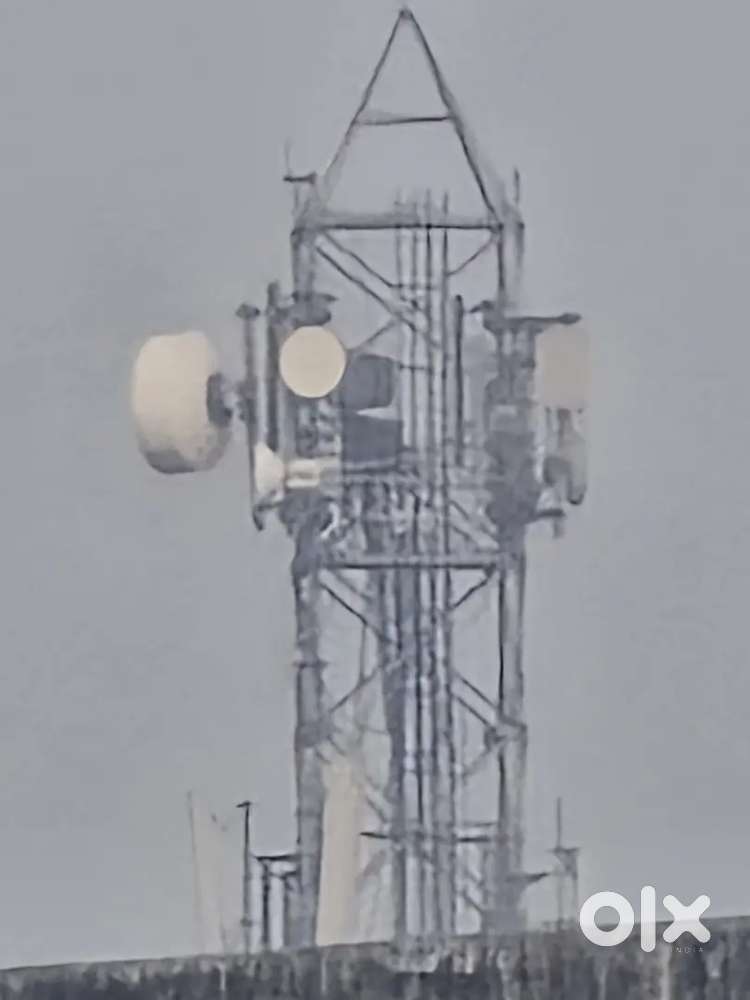 back office (only girls candidate)