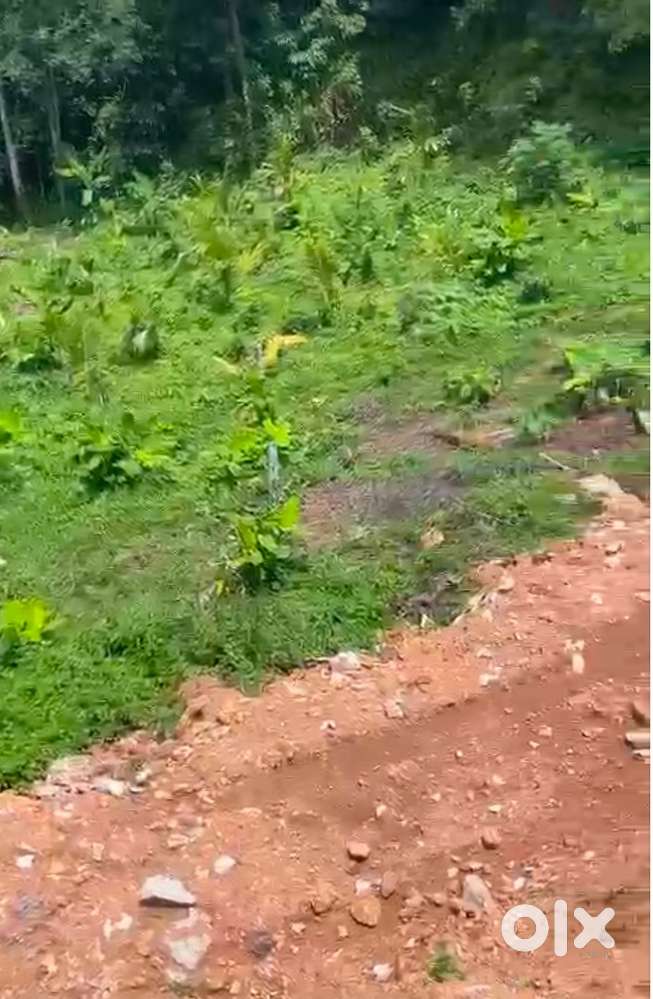 വട്ടിയൂർക്കാവ് കച്ചണിയിൽ 30 സെന്റ് വിൽപനയ്ക്ക്