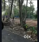 Land for sale at malyankara ernakulam