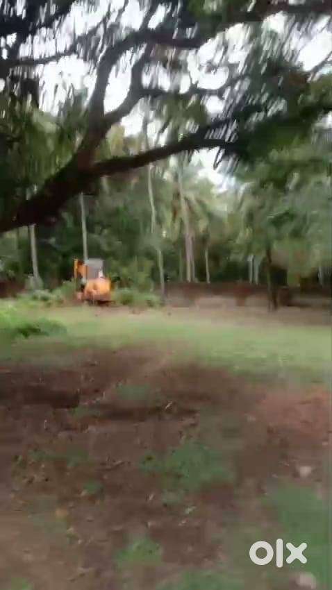 Agricultural Land for Sale – Beypore Village, Calicut (Kozhikode),