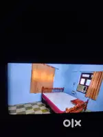 Room rental  for bachelor opp GRT