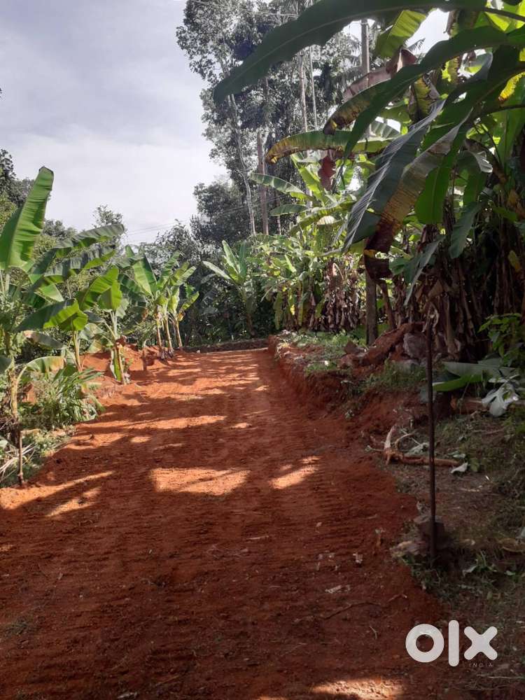 LAND FOR SALE IN PAZHAMTHOTTAM,ERNAKULAM .20 cents approx
