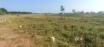 Amount Urgent sale corner plot DTCPapproved plot,6feet to ground water