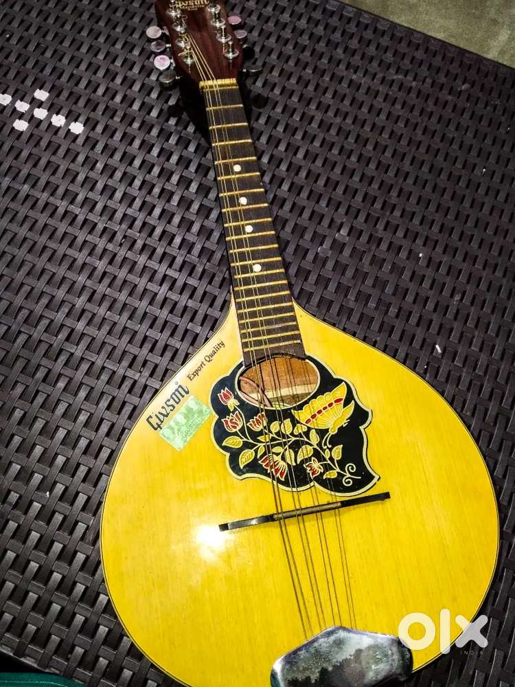 GIVSON'S MANDOLIN