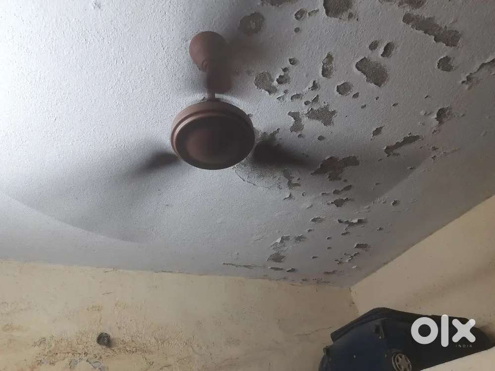 Ceiling Fan