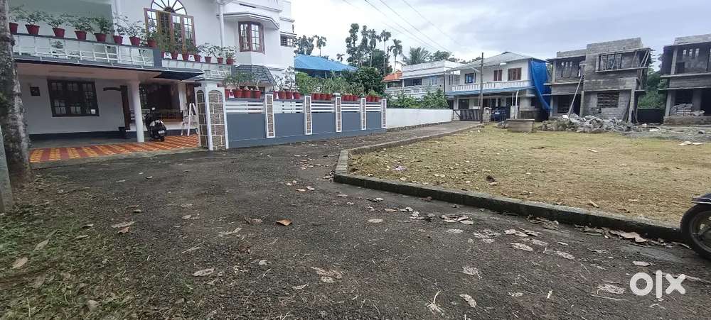 Aluva alangad 4 ct 5 ct plot ct 5 lk