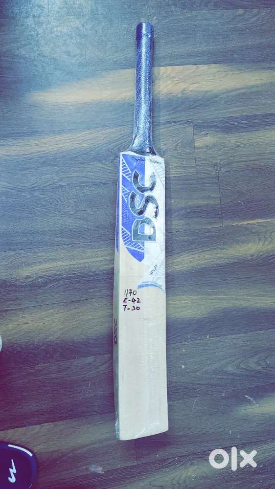 DSC Fearless Nurtured English Willow Bat