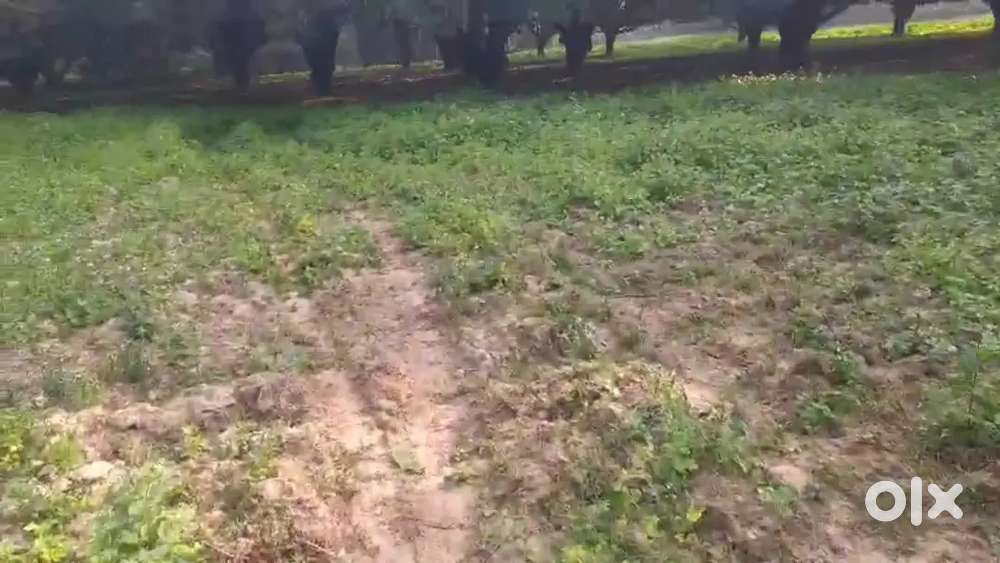 सबसे सस्ता खेती वाली जमीन सीतापुर रोड बीकेटी के पास में बुक करें