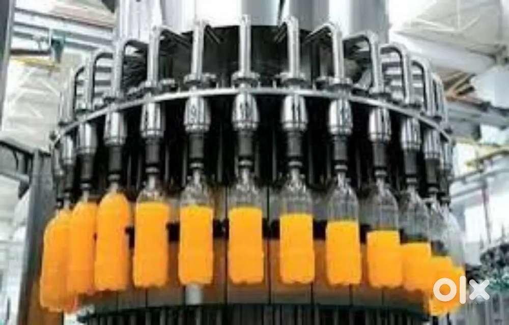 Wanted male/female counter /packing staffs with foo