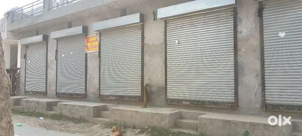 Shop shop rent
