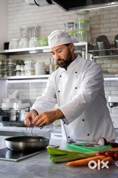 Assistant Chef (WANTED URGENT)