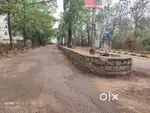 Excellent nature plot in good Layout