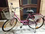 Lady bird female bicycle