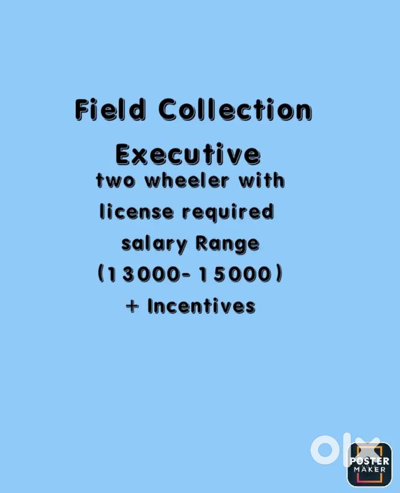Field Collection Executive