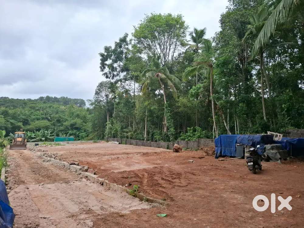 THIRUMALA PLOT FOR SALE 4.CENT.6..LAKH
