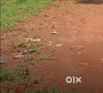 5 cents of residential land near infopark Kakkanad