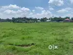 Udalguri Urgent land for sale Miyadi land