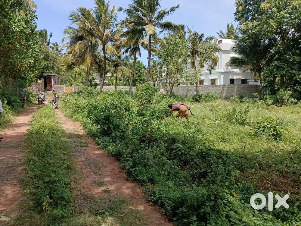 6 Cent Housing Plot for Sale in Vattakarai Palam, Maravankudieruppu