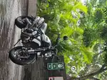 Ducati Scrambler 1100 Dark Pro