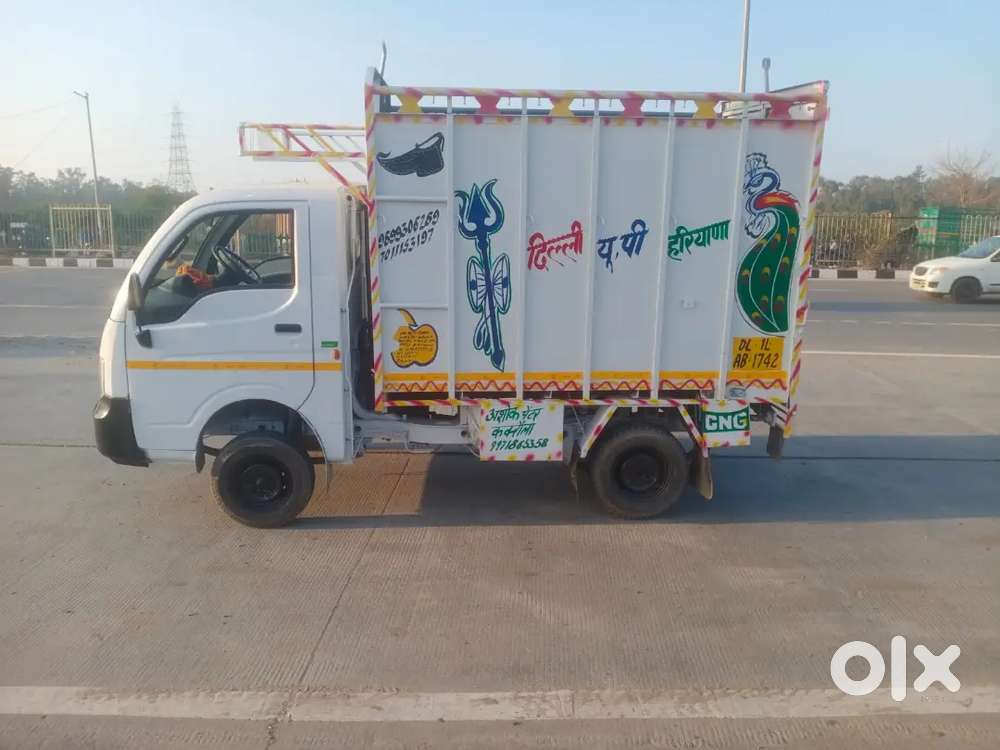 Need tata ace driver