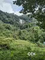 Land for sale in Anakulam Mankulam