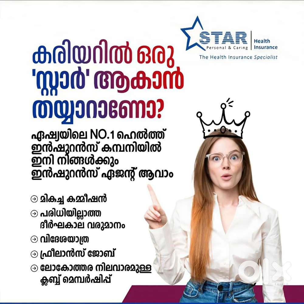 Health Insurance Advisor or Agent