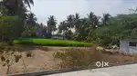Land for Sale at ThirumalaiGiri near Sivathapuram