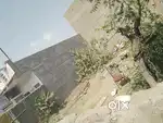 100 var ni plote che je rent ya sale bey ma aapvano che