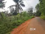 75 cent commercial land for sale @wayanad
