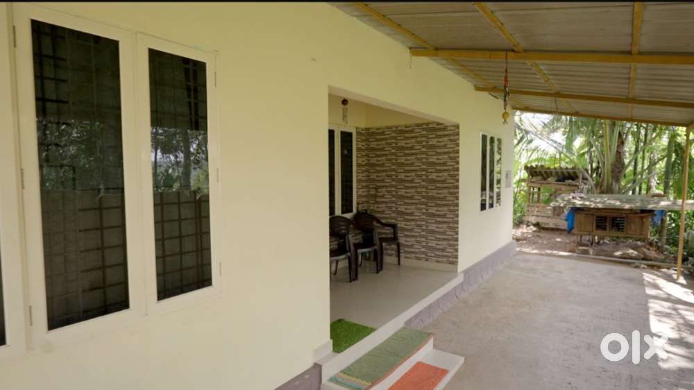 URGENT SALE! 20 cent plot with house in Pallikunne, Wayanad