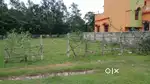 10 Dec. Plot at good location in Kalailunda