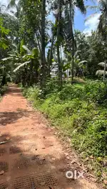 65 cent plot for sale