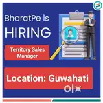 Sales Team Leader