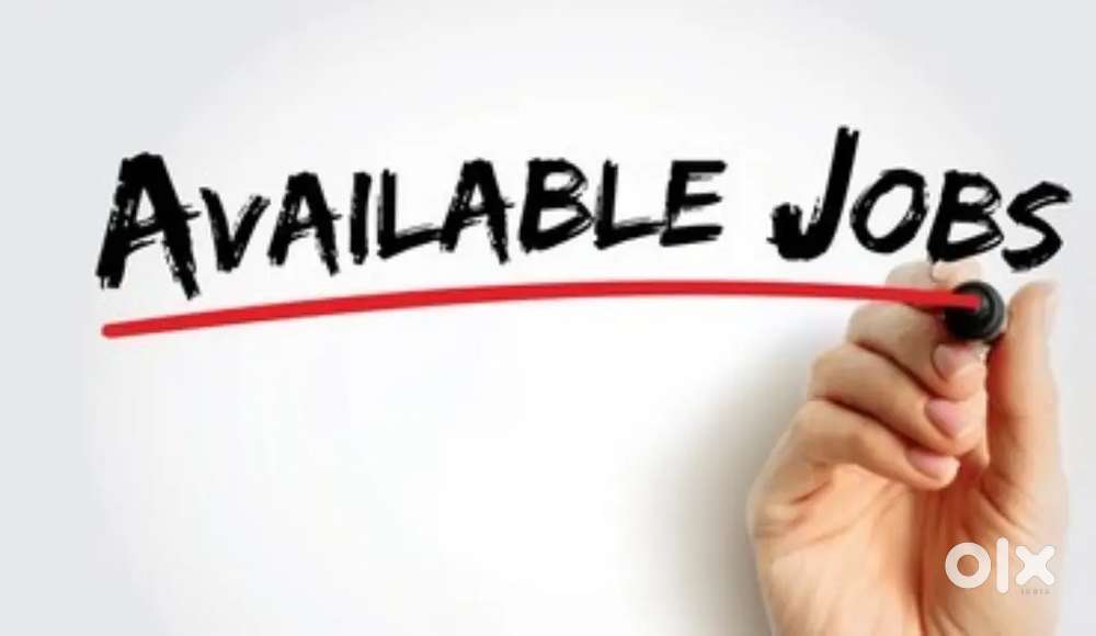 Job available according to your qualification