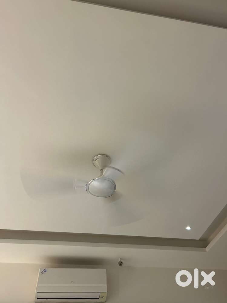 Celling fan