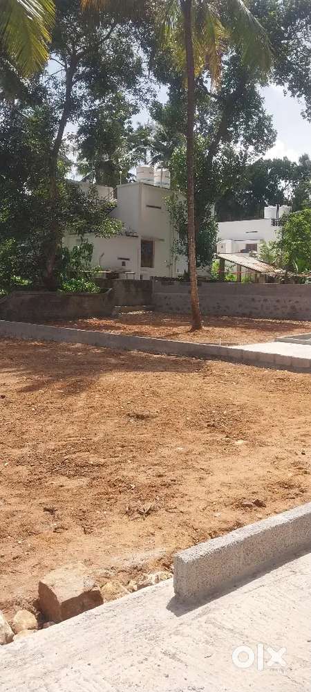 Vayilikada St thomas road 50mtr 6cent 4cent plot for sale