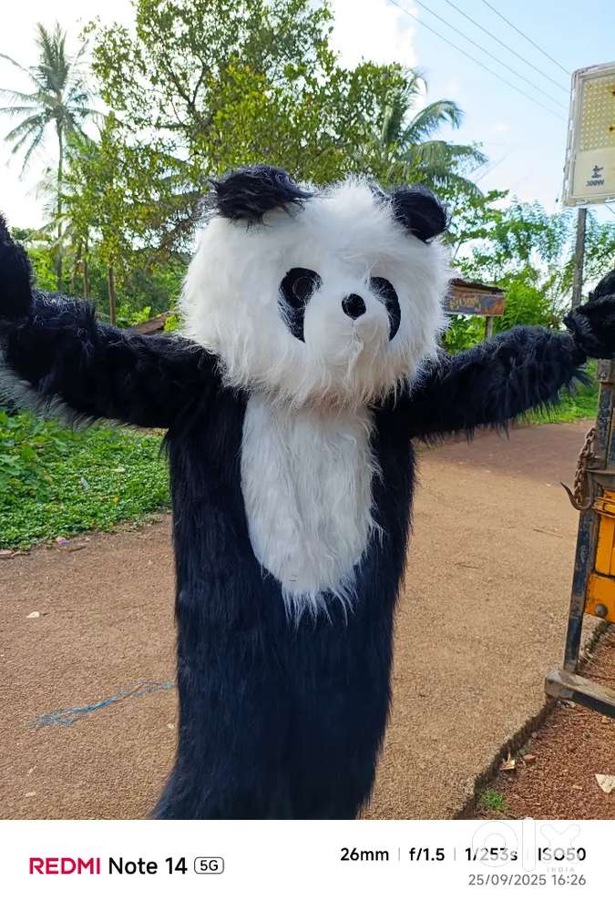Teddy and panda costume