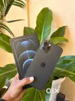iPhone 12 Pro Max 256gb - With Box Original