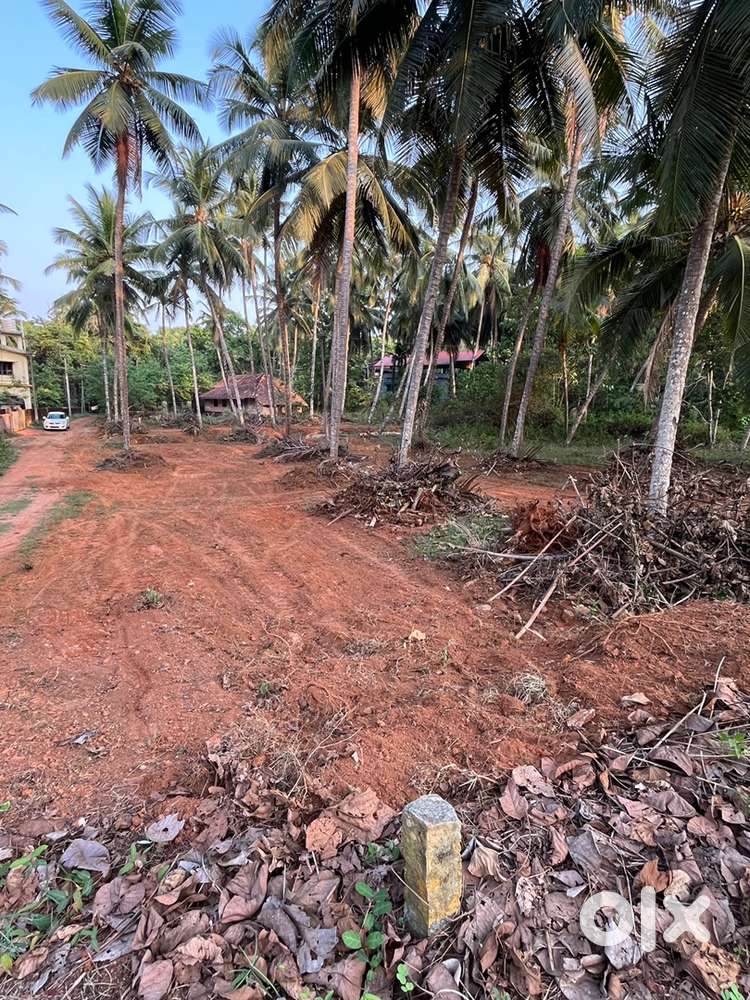 Residential Sites (6.4, 9.2 and 6.4 Cents) at Kinnigoli