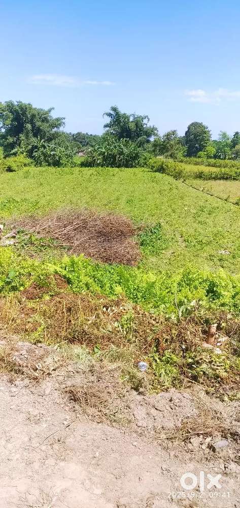 Land for sale 1bigh