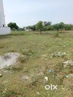 Near collector office
