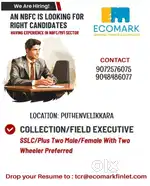 Collection Executive
