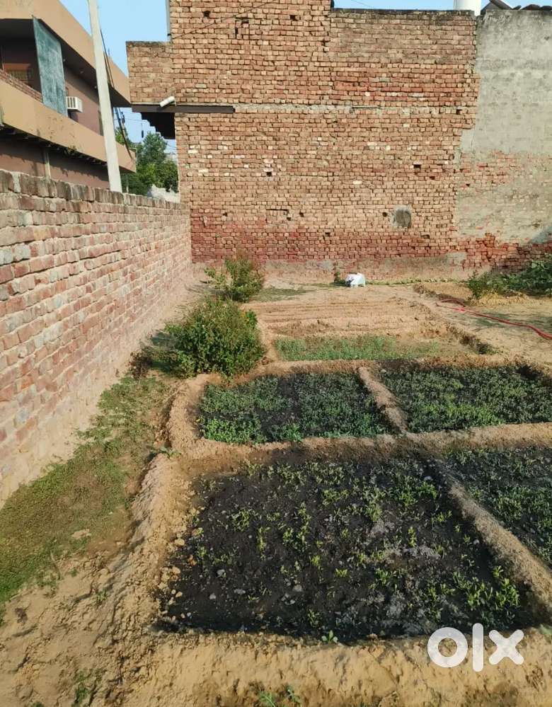 250 guj double gali ka plot , approved area,