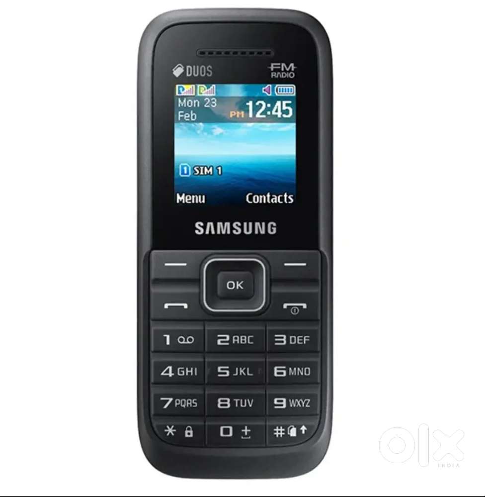 Samsung Guru FM Plus SM-B110E Keypad Phone