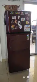 Godrej Double door
