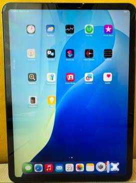 Apple iPad Pro 11 inch 1TB wifi+cellular