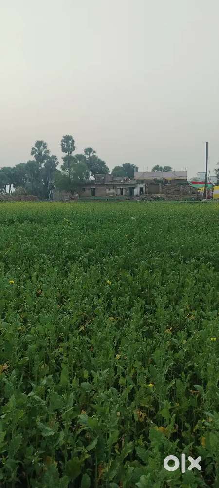 yah plot hamara Hai Ham inke owner Hain total 10 kattha Plot hai