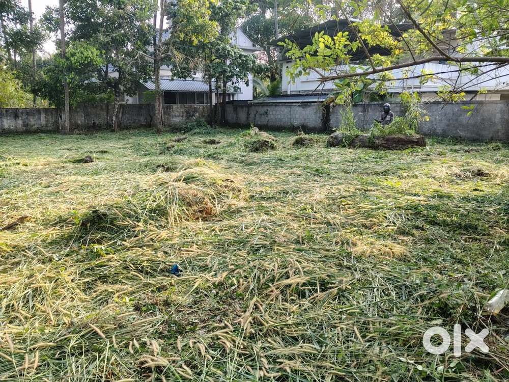 11 cent plot for sale